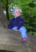 Kind auf Baum